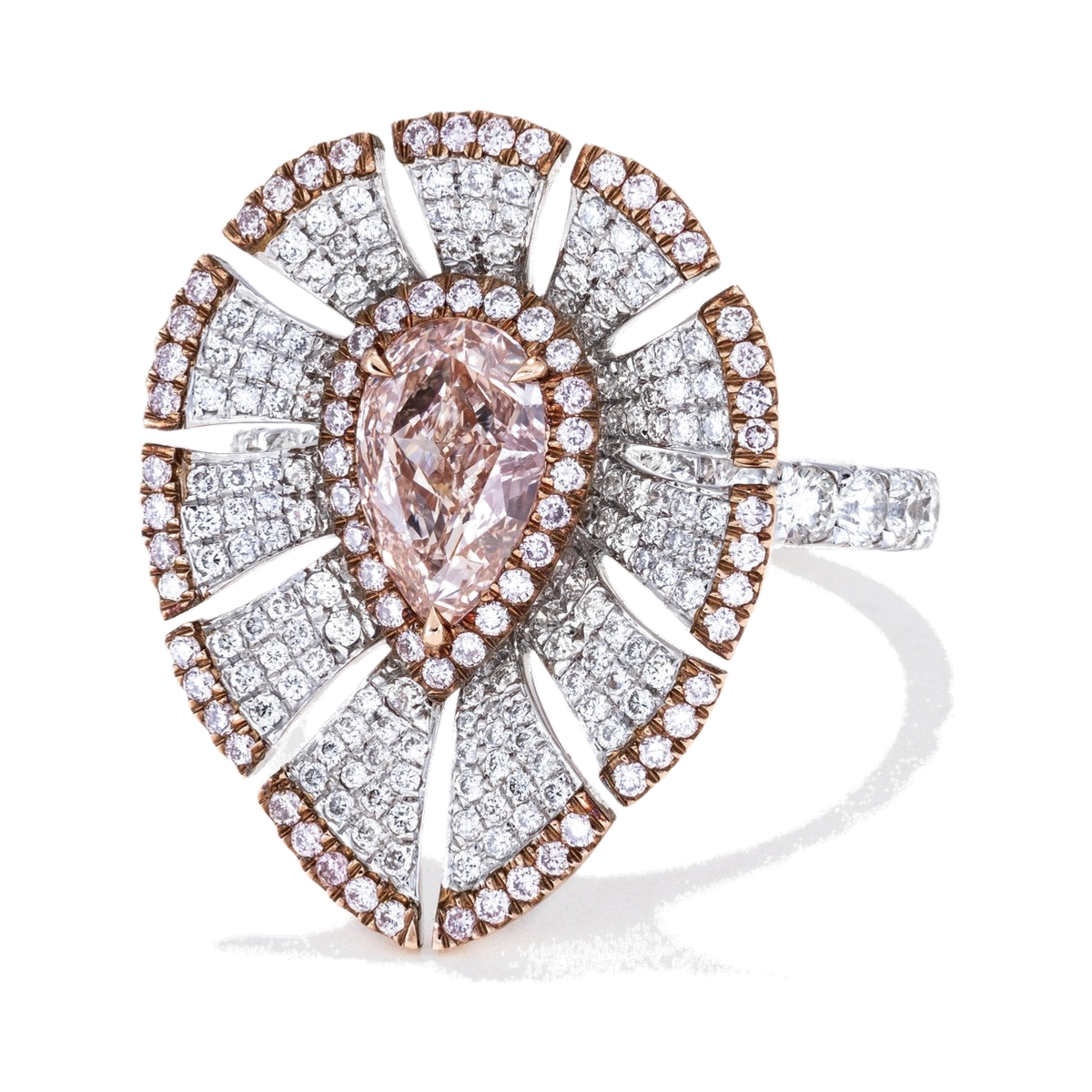 Pink Elegance - Lc Watches
