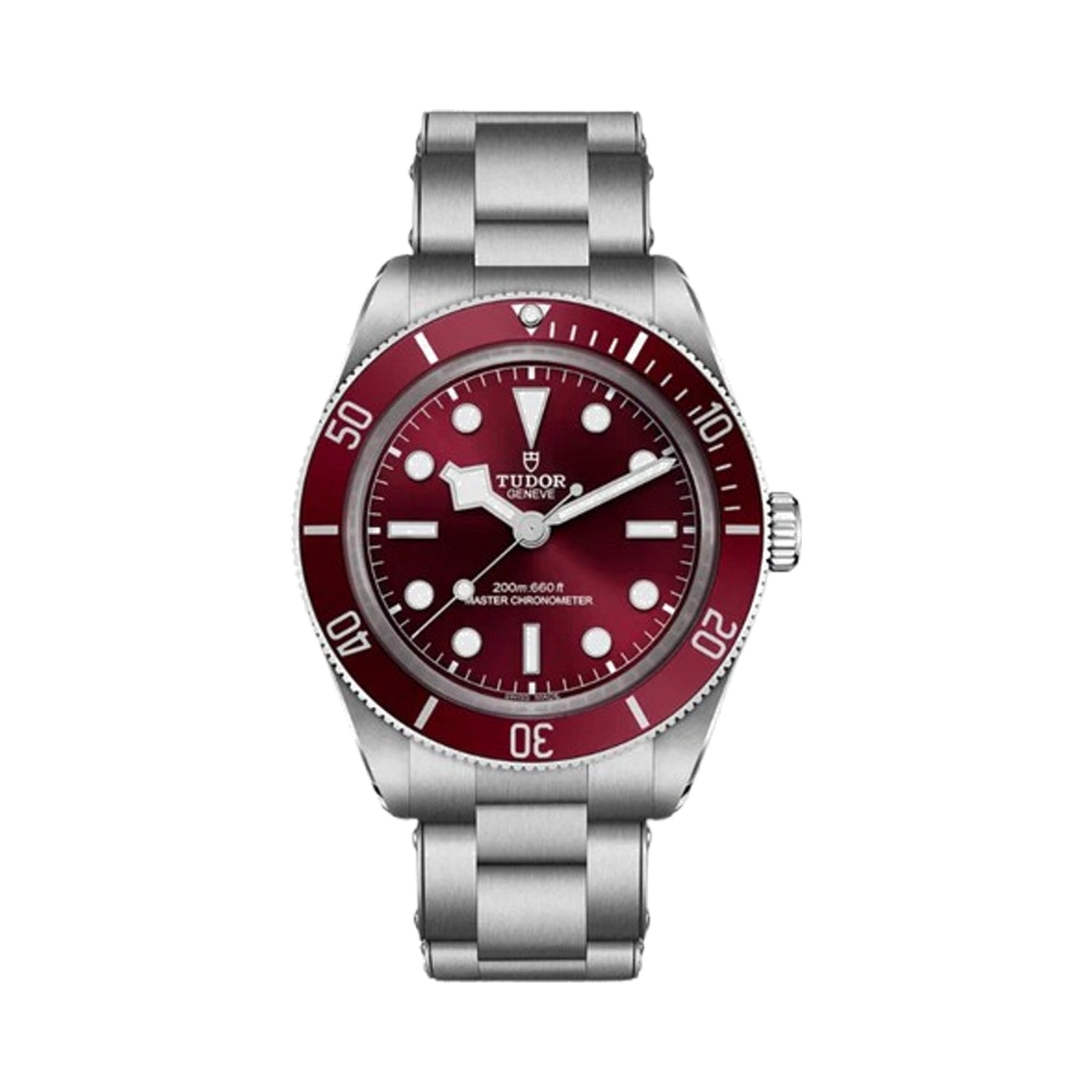 Tudor Black Bay 58 Burgundy Dial 2026