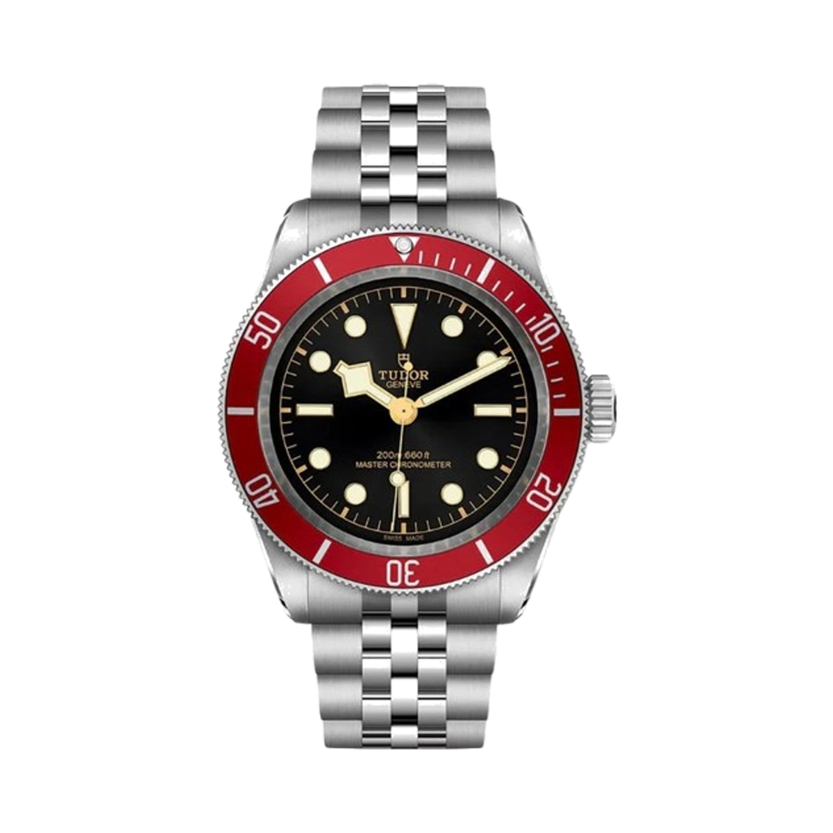 Tudor Black Bay burgundy Dial 2026