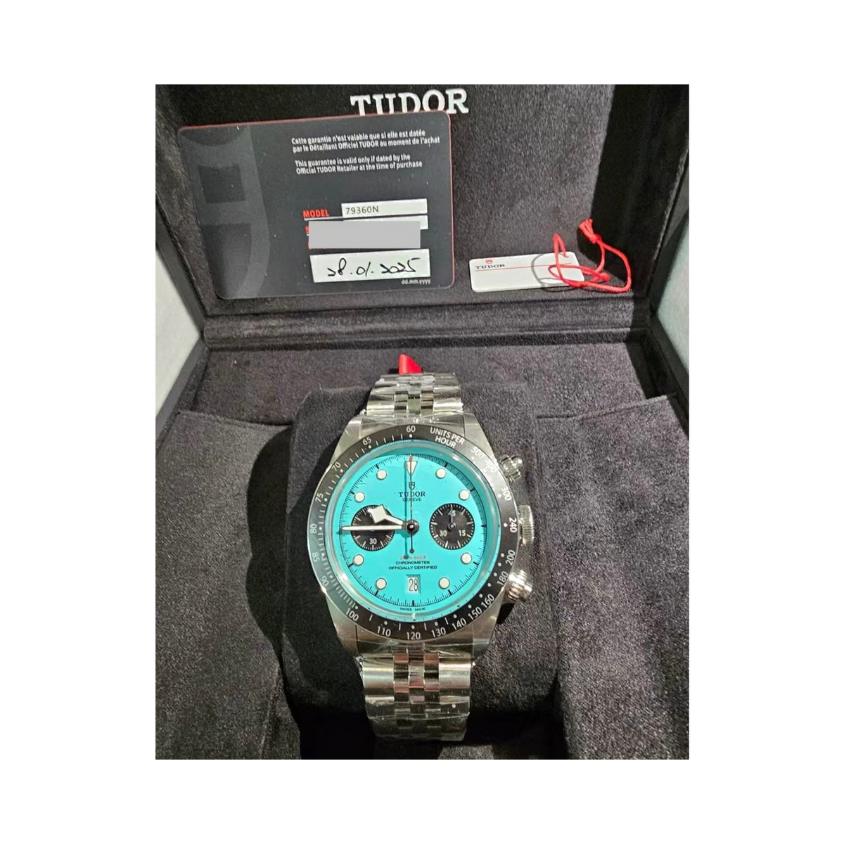 Tudor Black Bay Chrono Turquoise Dial flamingo