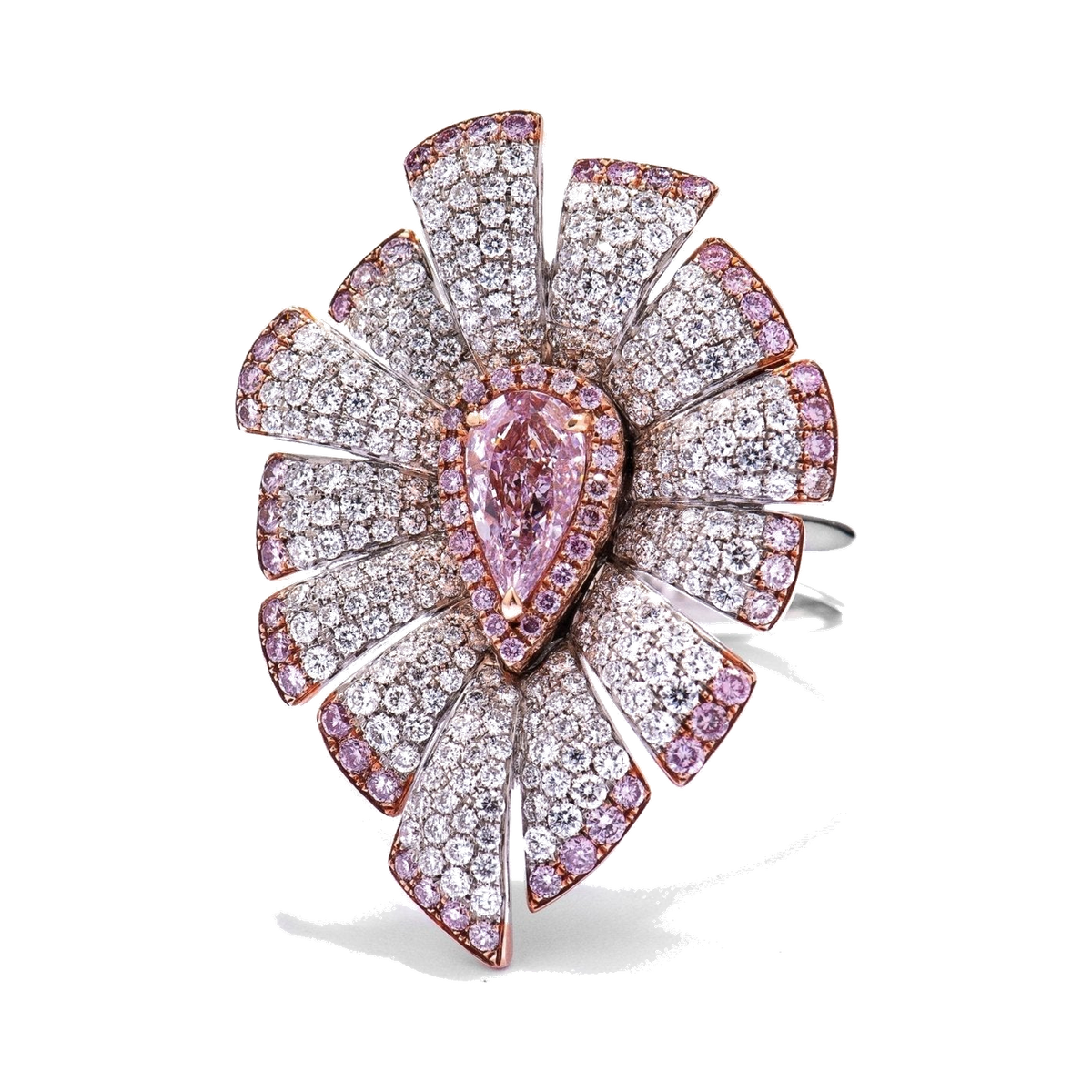 Delicate Petal - Lc Watches